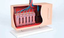 ddos攻击ip软件下载