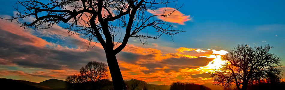 【秒启动极速版】性能优化的免费ddos压力测试平台