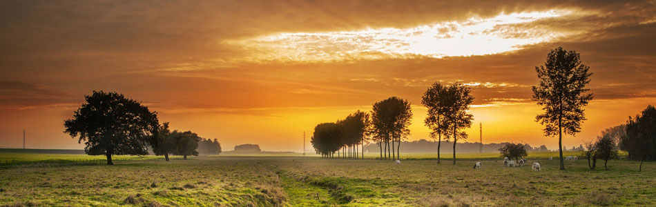 ddos网页在线攻击